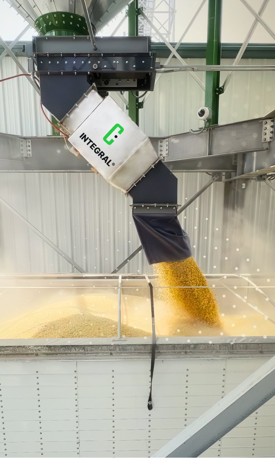 flowsenorgrains-cadaro flowsenorgrains-cadaro